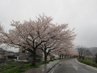 河川敷2[2].JPG