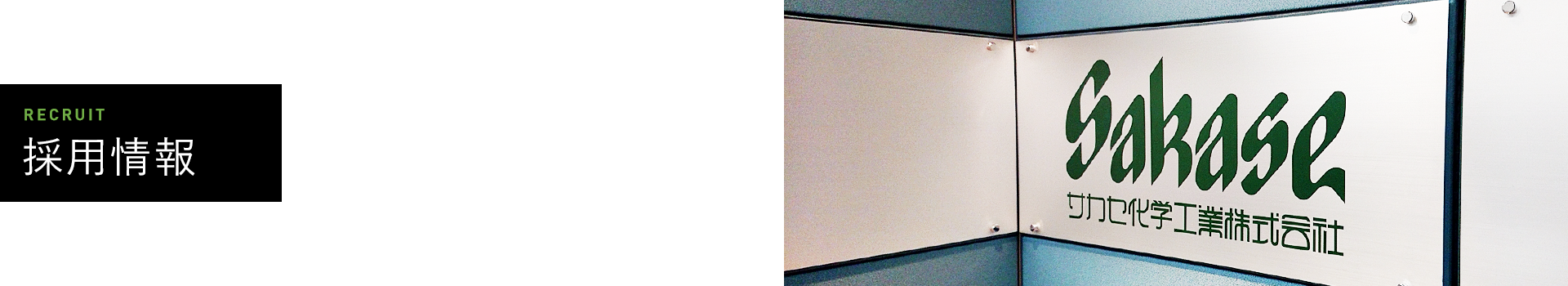 採用情報 君の未来を咲かせるサカセ