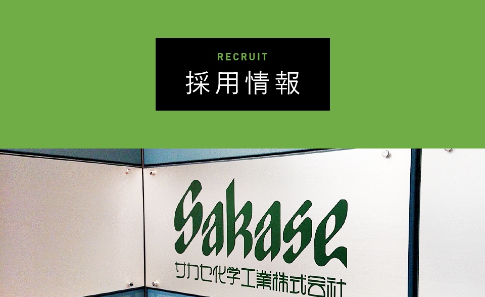 採用情報 君の未来を咲かせるサカセ
